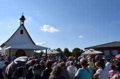 Mini DSC 0982
